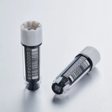 艾本德Eppendorf CryoStorage Vial，無菌, 無菌, 0.5 mL, 不含 DNase、RNase、人類 DNA 和內(nèi)毒素；外螺紋，預(yù)先加蓋灰色管蓋，帶 2D SafeCode 
