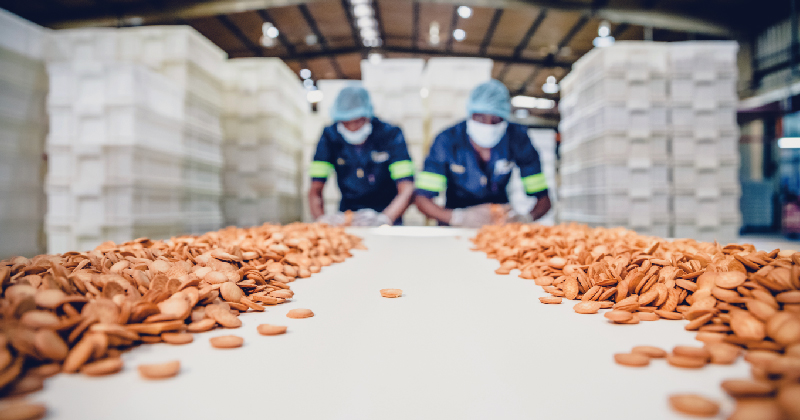 發(fā)酵優(yōu)化