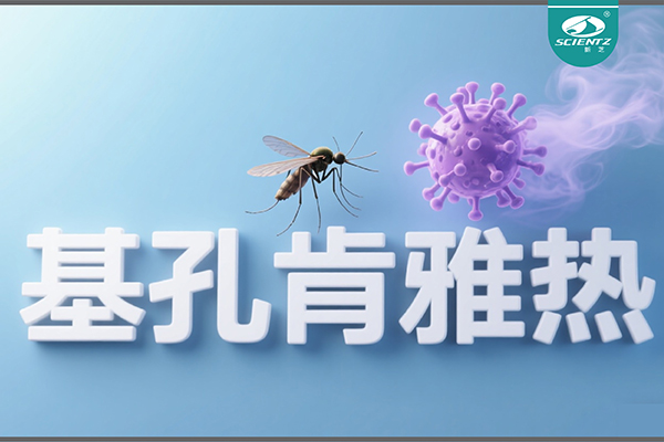 基孔肯雅熱疫情升級！新芝生物硬核技術助力病毒精準診斷