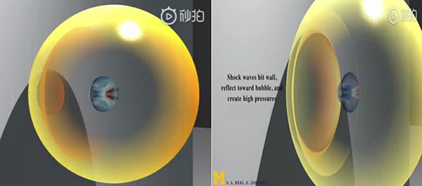 細胞結(jié)構(gòu)圖