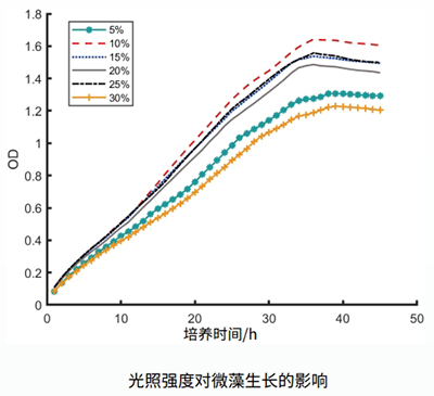 微藻在位培養(yǎng)檢測